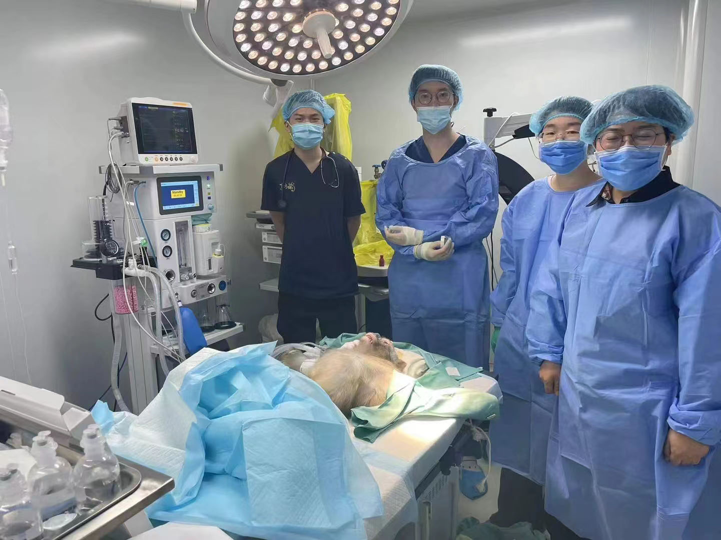 SV-1900 provide anesthesia support