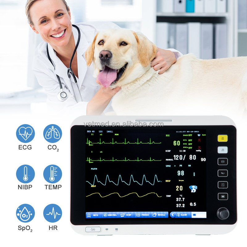 Veterinary Monitor VM-12